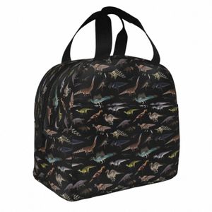 rex Dinosaur Pattern Isolados Lunch Bags Alta Capacidade Meal Ctainer Thermal Bag Lunch Box Tote Beach Travel Bento Bolsa Q0IU #