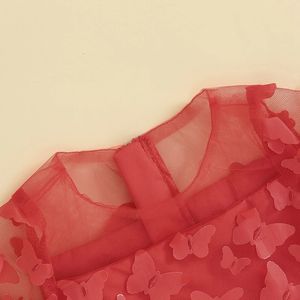 Kid Baby Girl Butterfly Tulle Dress Valentine s Day Short Sleeve 3D Sweet Princess Party Spring Summer y240326