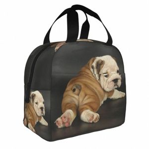 carino Bulldog inglese pranzo al sacco portatile termico isolato dispositivo di raffreddamento britannico cane pranzo Tote per le donne bambini scuola cibo Bento Box 53az #