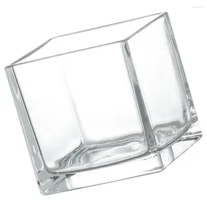 Vases Cube Glass Vase Clear Flower Container Desktop Hydroponic Modern (10x10cm)