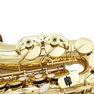 EB ALTO SAXOPHONE BRASSラッカー付きゴールドプロの木管楽器Eケースストラップ楽器部品付きフラットサックス