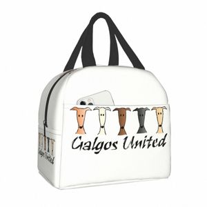 Galgos United Greyhound Sacos de Almoço Isolados para Mulheres Whippet Sighthound Dog Portátil Thermal Cooler Food Lunch Box Escola Y5Yi #