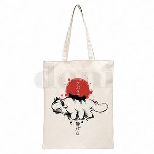 Аватар The Last Airbender Aang Appa Anime Badass New Art Canvas Bag Totes Простой принт Магазин Сумки Girls Life Casual Pacakge 17NK #