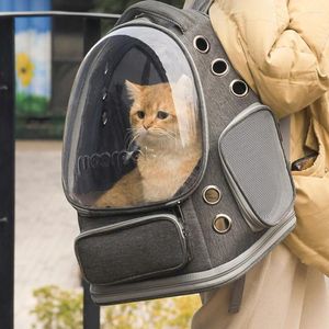 Kattbärare reser söt bär väska utomhus transparent stora rymdkatter ryggsäck bärbara mochila para gato husdjur tillbehör