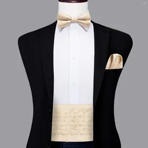 Belts Hi-Tie Luxury Designer Paisley Champagne Cummerbund Bow Tie Set Formal Tuxedo Corset Elastic Belt For Men Wedding Cummerbunds