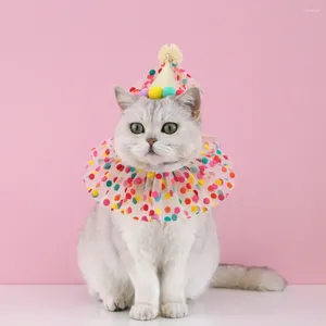 Hundekleidung mit Plüschball -Hut -Haustier Accessoires Süßigkeiten Farbe Punkt Spitzen Hunde Kostüm Cap Katze Geburtstag für Party