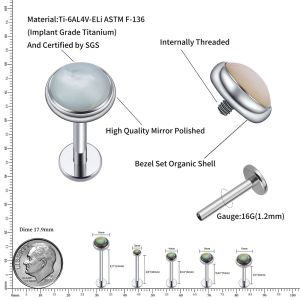 GRANDE ARVM ASTM F136 TITANIO 16G Organic Abalone Labret Monroe Lip Ring Helix Cartilage Tragus Brincho