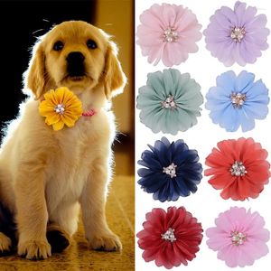 Vestuário para cães 50/100pcs Acessórios de colarinho de flor a granel lancho de arco de diamante de colarinho de diamante