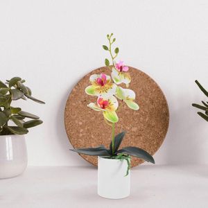 Fiori decorativi bonsai piante artificiali desktop in vaso orchidea fiore falsa falsa falsa falsa falsa falsa