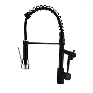 Kitchen Faucets Dual Handle Pull Down Sink Black Faucet Spring Brass Tap With Sprayer And Cold Water Mixer J18378