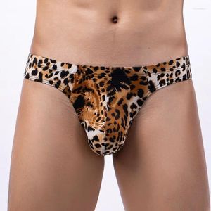 Underpantes masculino, uns índices de bolsa de biquíni de biquíni de garoto gay sexy com cintura baixa estampada de leopardo de lingerie inferior