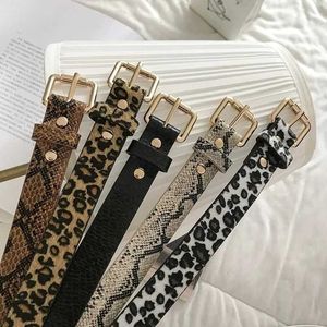 Cinture cinture a fibbia quadrata leopardo cinghia sottile cintura alla moda e semplice versatile decorazione di jeans cinghia Instagram per wo