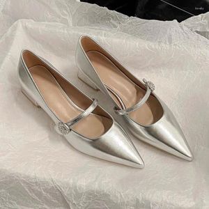 Scarpe eleganti a punta di piedi 2024 primavera d'argento mary jane comodo tallone basso semplice versatile femmina di pompe da donna