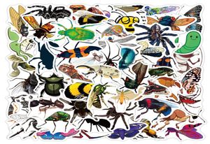 50Pcs Insect Mix Cute Graffiti Stickers For Kids DIY Laptop Water Bottles Car Window Guitar Phone Case Waterproof Decals Toys Whol4843631