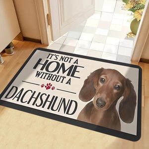 Carpets Pet Dog Floor Mat With The Wordswritten On It For Enthusiasts Used Home Room Decoration