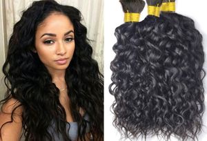 Wholebrazilian Water Wave Human Braiding Hair Bulk 3pcs Lot 8A Grade Brazilian Water Wave Hush Hair Hair for Braiding Bulk No ATT4503489