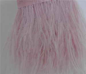 10 yards light pink ostrich feather trimming fringe feather trim on Satin Header 56inch in width for dress decor3336493