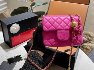 Sacchetti di lusso borse di design della moda da donna classica piccola catena grassa quadrata a sfera golden regolabile super versatile una borsa a traversa a tracolla