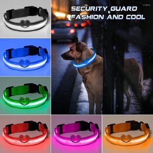 Colarinhos de cães LED/colar de bateria Anti-perdido para cachorros filhotes Nylon Night Safety Supplies Luminous Pet Products Acessórios