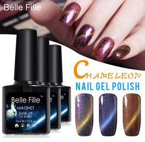 Whole Full Set 10ml UVLED Chameleon Cat Eye Magnetic Nail Gel Polishblack coatmagnet DIY Nail Art Long lasting Gel Nail4585963