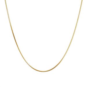 Minimalistisk amerikansk finkornen Plain Snake Bone Chain Nisch och mångsidig titanståltröja Kvinnor High-End Long Necklace