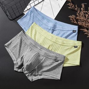 Underpants Boxer Hombre sexy Männer Unterwäsche u konvexer Tasche flach Angle Sport atmungsaktiven Faden vier Ecke Bragas Sexys Panties Gtopx Mann