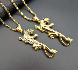 Хип -хоп ожерелья, покрытые золотом, покрытая бриллиантовой нержавеющей сталью ожерелье для животных для животных для мужчин Рэппер Ювелирные изделия8508022