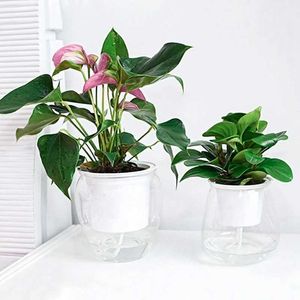 Planters Pots Hydroponic Flowerpot Self Absorbing Water Vase Soil Culture Planter Transparent Water Storage Plastic Lazy Flower Pot