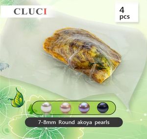 Cluci 4pcs 78 ملم حول المياه المالحة في الفراغ الجودة معبأة Akoya Pearl Oysters T2005076915540