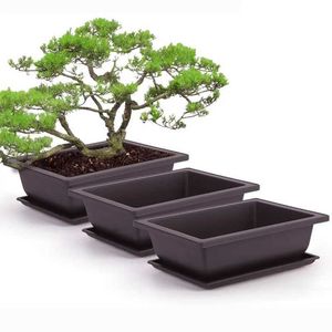 Çiçek Plastik Bonsai Bitkiler ile Tencereler Eğitim Tencereleri Çiçek Etli Plastik Bitki Tencereleri için Tencere Meydanı Kare Ekici ile