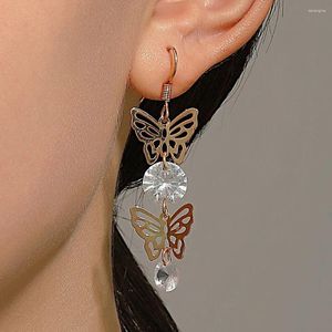 Orecchini a pennaglie farfalla cavo per donne zirconi Accessori per gioielli per il corpo della nappa lunga