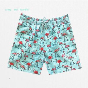 Fashion-2019 varumärke Vilebre Men Beach Board Shorts Badkläder Män 100% snabba torra sköldpaddor Male Boardshorts Bermuda Brequin Swimshort M-XXXL 1134