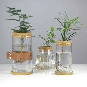 Planters Pots Glass Vase Transparent Hydroponic Flower Pot Micro Landscape Ecology Fish Tank Desktop Decoration Green Plant Vasen Craft