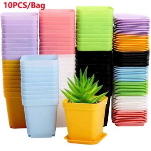 Pflanzer Töpfe 10pcs/Bag Gartengarten Mini kleiner quadratischer Topf Blüten Topf Kleine schwarze quadratische Plastiktopf Sämlingschale Vorbehalt