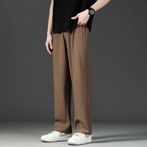 Spring And Pants Autumn Straight Tube Loose Fitting Suit For Men's 2024 New Casual Drape High-End Wide Leg Pants