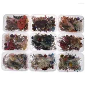Decorative Flowers 1Box Dried Floral Art Craft Scrapbooking Resin Jewelry Making DIY Mold Accessories