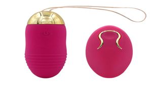 Kablosuz uzaktan kumanda USB şarj edilebilir silikon titreşimli yumurta atlama yumurtası su geçirmez stimülasyon kadınlar için seks oyuncak 4052407