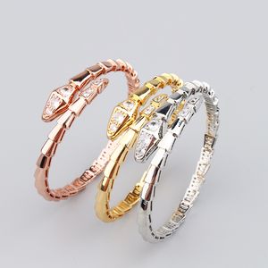 Мода New 18k Gold Fritillaria Snake Silver Brangle браслеты для женщин для женщин дочери кольцо набор модных ювелирных ювелирных ювелирных изделий.