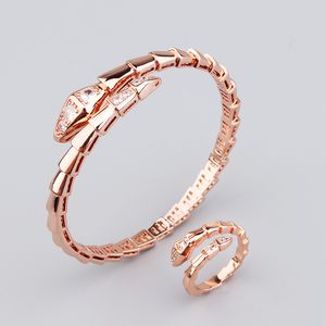 moda 18k złota fritillaria wąż srebrna bransoletki dla kobiet córka Lady Mom Pierścień Zestaw Mody Unisex Projektant biżuterii Women Jewlery Party Gifts Wedding