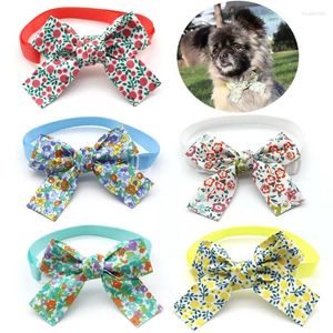 Abbigliamento per cani 50/100 PC CANI ACCESSORESIONI FLOORE PRIMA FLOPO CUPPY CATTO TIE COLLAR CACCOLA PER ACCESSORI CHE ACCESSI ALL'ACCESSO