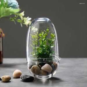 Vaser kreativa äggformade glasflaskor gröna saftiga mossa flaskor vas terrarium bonsai hem skrivbordsdekor