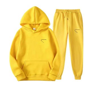 Women's sportswear two piece suits women's hoodie jacket side pants women's slim sweater women's sportswear autumn spring coat