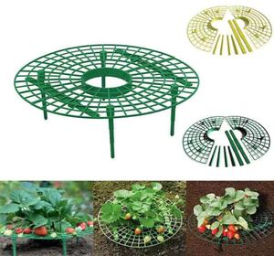 Plant support Planters Strawberry Planting Rack Fruit Supports Plants Climbing Vine Props Flower Pillar Gardening Bracket agricult5185154