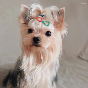Dog Apparel Pet Hair Clip Small Dogs Cat Clips Head Decoration For Pets Puppy Hairpins Decor Grooming Accessoires Fashion