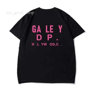 Galery Dept Designer GalleryDept Tshirt Men ess Tee dostępna w dużych i wysokich rozmiarach Original