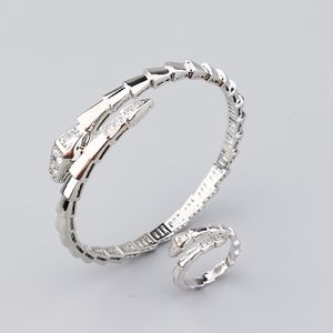 Moda Novo 18k Gold Fritillaria Snake Silver Blange Bracelets for Women Filhe Ring Conjunto de moda unissex jóias designer feminino
