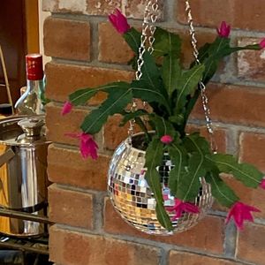 Retro Disco Ball Planter Basket Round Mirror Hanging Pot flower pot Wall Planter Pot Hangin Vase Desktop Decoration Balcony Vase 240430