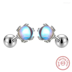 Stud Earrings 925 Sterling Silver Crystal Jewelry Fashion For Woman XY0219