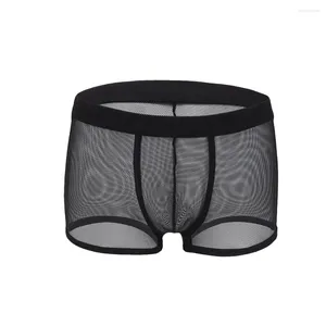 Underbyxor män mesh elastisk boxare bror tunna låg midja transparent sexig andningsbar underkläder bulge påse trosor homme stigning