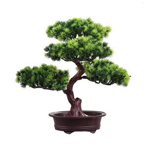 Dekorative Blumen Kunst und Pflanzen Wohnraum mit künstlicher Bonsai langlebiger Haltbarkeit Topfpflanze